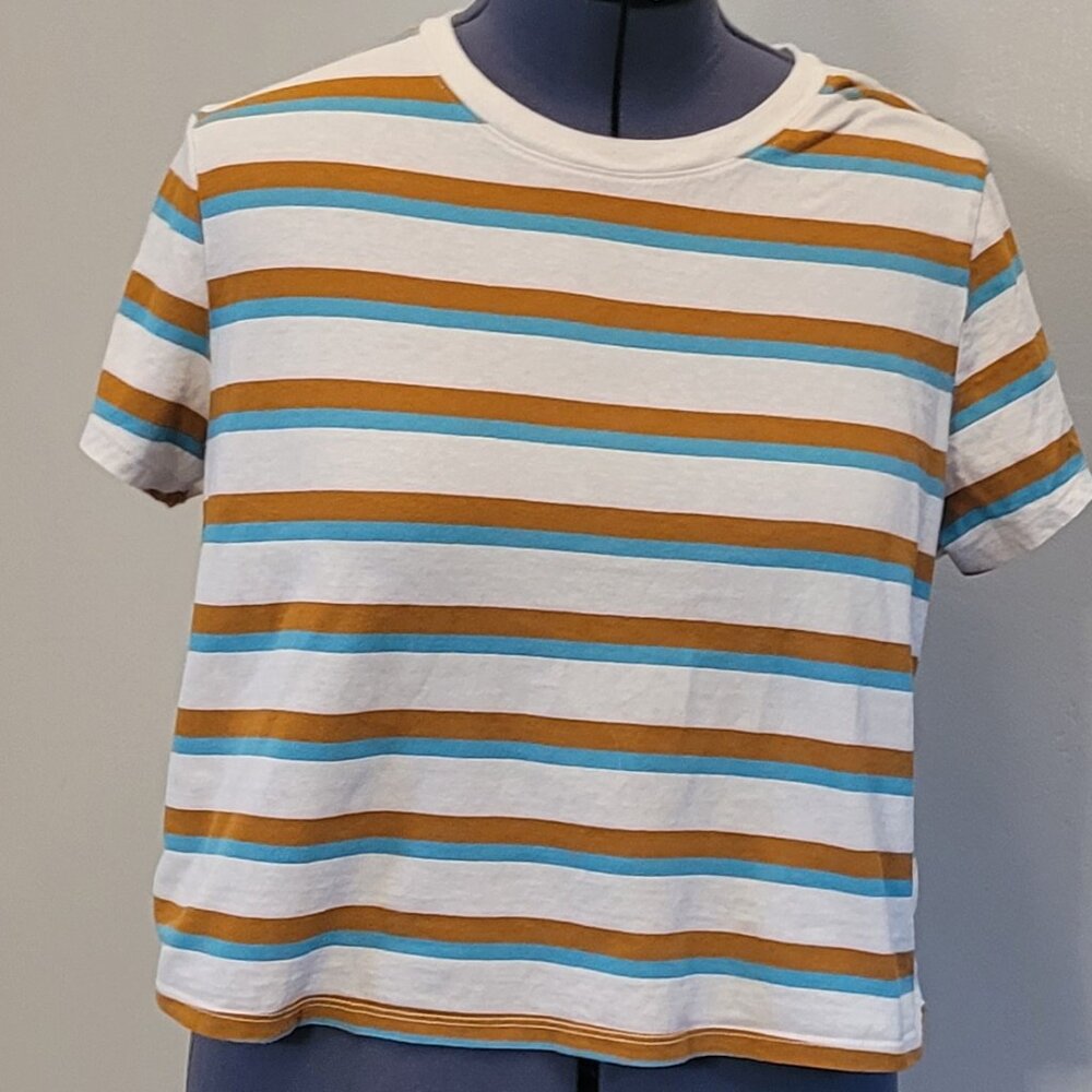 Striped  100% Cotton T shirt  XlL